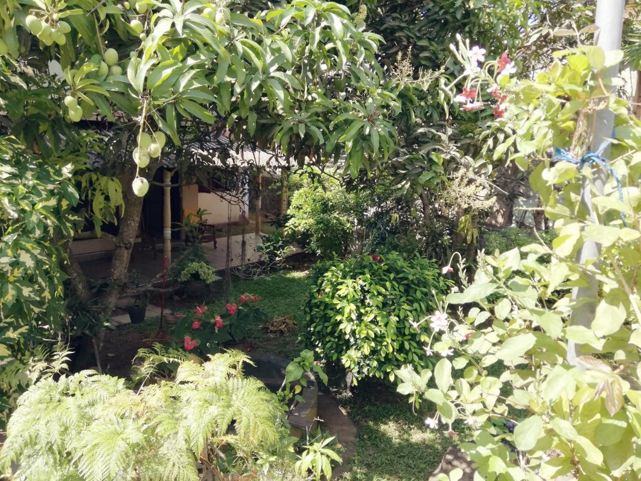 Nisadi Villa Bentota Exterior photo